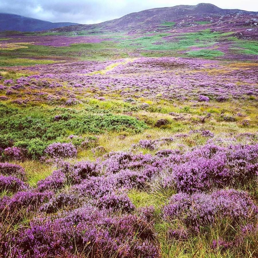 Baltinna East - By Where Stags Roar Newtonmore Zewnętrze zdjęcie